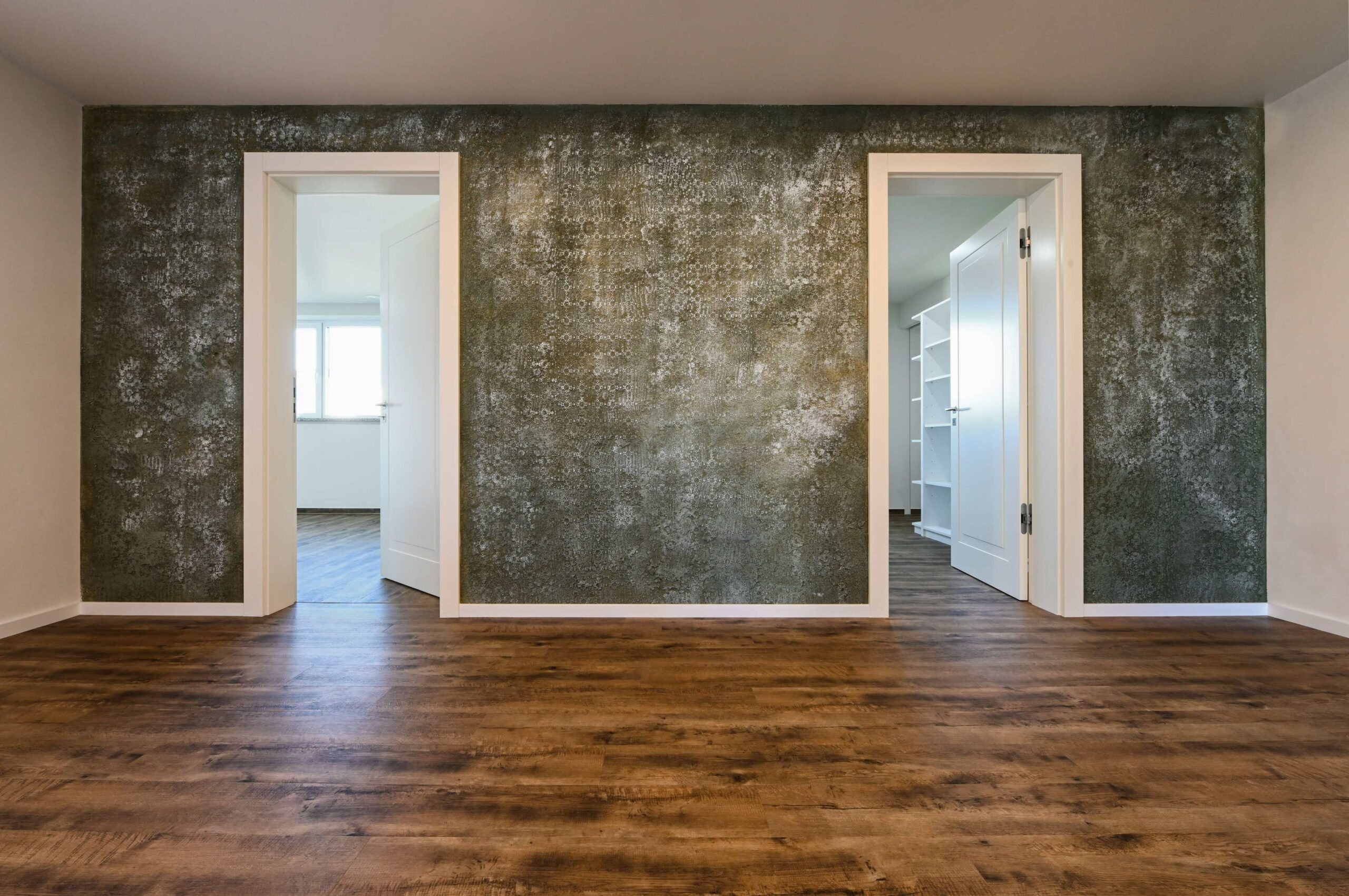 Vopsea decorativa de Interior CALCECRUDA CYRUS 4